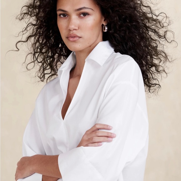 NWT - Banana Republic Cruz Poplin dress - Picture 3 of 4